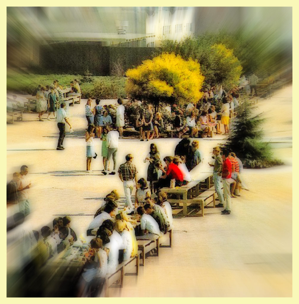 Recalling a normal day on the Wilcox Quad