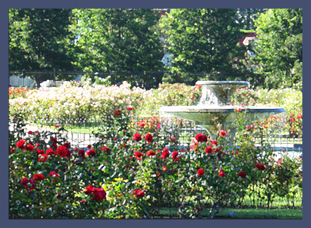 A digital painting of the San Jose Municipal Rose Garden