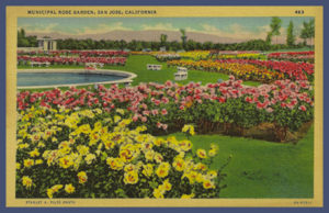 Rose Garden Postcard