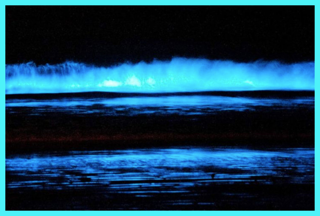 PHOSPHORESCENT WAVES