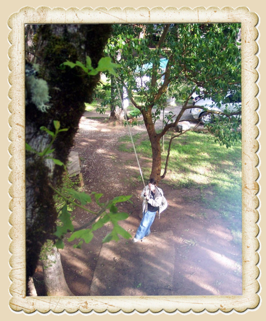 Sam on the swing