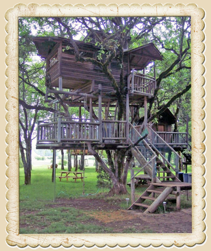 Our treehouse